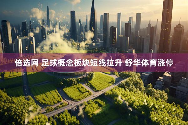 倍选网 足球概念板块短线拉升 舒华体育涨停