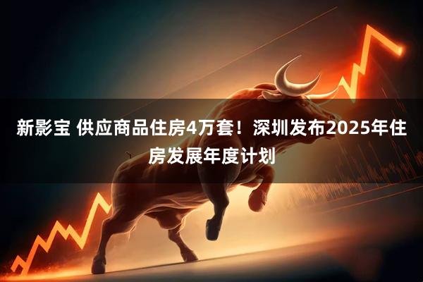 新影宝 供应商品住房4万套！深圳发布2025年住房发展年度计划