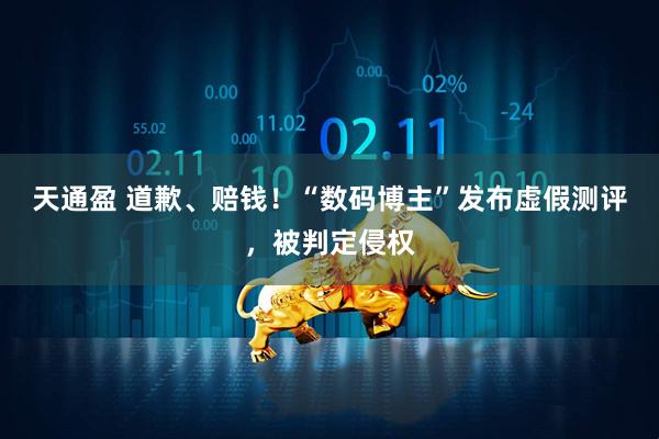 天通盈 道歉、赔钱！“数码博主”发布虚假测评，被判定侵权