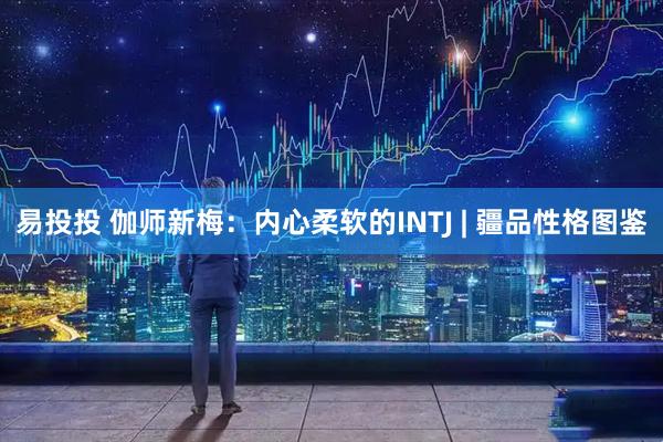 易投投 伽师新梅：内心柔软的INTJ | 疆品性格图鉴