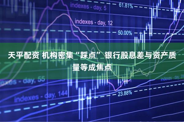 天平配资 机构密集“踩点” 银行股息差与资产质量等成焦点