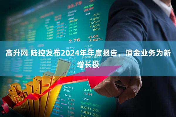 高升网 陆控发布2024年年度报告，消金业务为新增长极